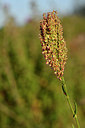 BUITEN BEELD Foto: 296628