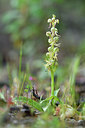 BUITEN BEELD Foto: 296636