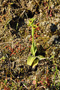 BUITEN BEELD Foto: 296638
