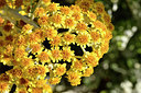 BUITEN BEELD Foto: 296648