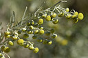 BUITEN BEELD Foto: 296651
