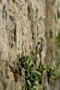 BUITEN BEELD Foto: 296654