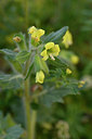 BUITEN BEELD Foto: 296656