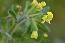 BUITEN BEELD Foto: 296657