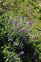 BUITEN BEELD Foto: 296670