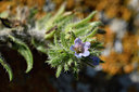 BUITEN BEELD Foto: 296671