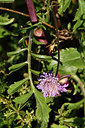BUITEN BEELD Foto: 296673