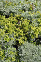 BUITEN BEELD Foto: 296674