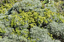 BUITEN BEELD Foto: 296675
