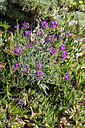 BUITEN BEELD Foto: 296677