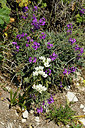 BUITEN BEELD Foto: 296681