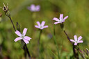 BUITEN BEELD Foto: 296690