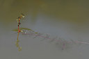 BUITEN BEELD Foto: 296697