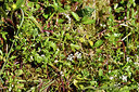 BUITEN BEELD Foto: 296705