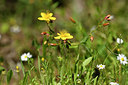 BUITEN BEELD Foto: 296714