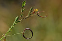 BUITEN BEELD Foto: 296716