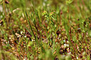 BUITEN BEELD Foto: 296722