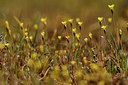 BUITEN BEELD Foto: 296724