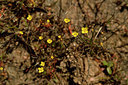 BUITEN BEELD Foto: 296725