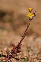 BUITEN BEELD Foto: 296728