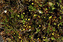 BUITEN BEELD Foto: 296730