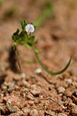 BUITEN BEELD Foto: 296731