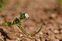 BUITEN BEELD Foto: 296732