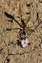 BUITEN BEELD Foto: 296737
