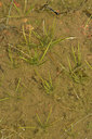 BUITEN BEELD Foto: 296739