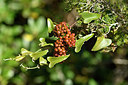 BUITEN BEELD Foto: 296741