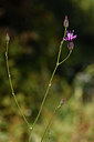 BUITEN BEELD Foto: 296743