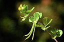BUITEN BEELD Foto: 296744