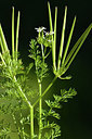 BUITEN BEELD Foto: 296745
