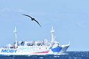 BUITEN BEELD Foto: 296751