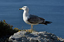 BUITEN BEELD Foto: 296772