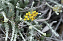 BUITEN BEELD Foto: 296773