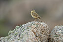 BUITEN BEELD Foto: 296774