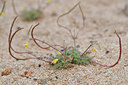 BUITEN BEELD Foto: 296776