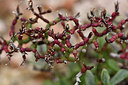 BUITEN BEELD Foto: 296780