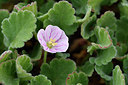 BUITEN BEELD Foto: 296784