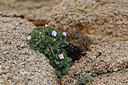BUITEN BEELD Foto: 296788