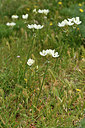 BUITEN BEELD Foto: 296818