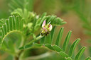 BUITEN BEELD Foto: 296819
