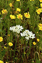 BUITEN BEELD Foto: 296820