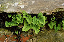 BUITEN BEELD Foto: 296826
