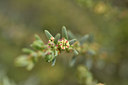 BUITEN BEELD Foto: 296828