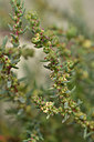 BUITEN BEELD Foto: 296829