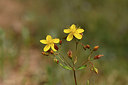BUITEN BEELD Foto: 296850