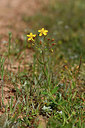 BUITEN BEELD Foto: 296851