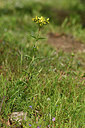 BUITEN BEELD Foto: 296856